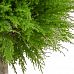 Topiary Cedar Ball Single Artificial Tree Plant