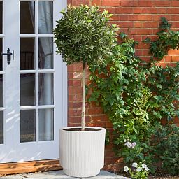 IDEALIST Lite Vertical Ribbed Cylinder Outdoor Planter