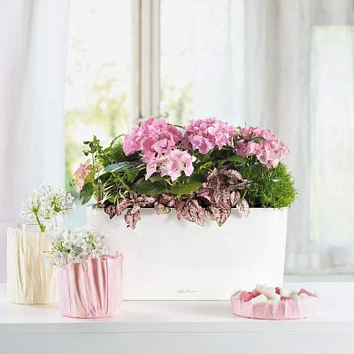 LECHUZA DELTA 10|DELTA 20 Poly Resin Indoor Self-watering Planter