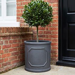IDEALIST Chelsea Light Concrete Cylinder Garden Planter