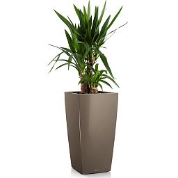 LECHUZA CUBICO Square Tall Poly Resin Self-watering Planter