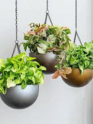 Gradient Hanging Bowl Planter | Polyresin Indoor Plant Pot