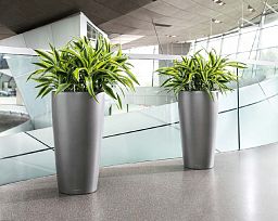 LECHUZA Rondo Round Tall Poly Resin Self-watering Planter
