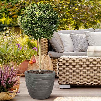 IDEALIST Lite Row Light Concrete Egg Planter