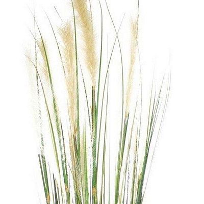 CATTTAIL (TYPHA) Artificial Grass Plant