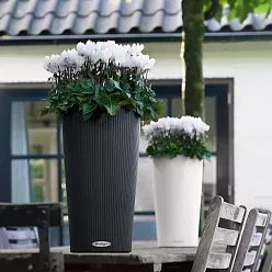 LECHUZA CILINDRO Color Round Tall Poly Resin Self-watering Planter
