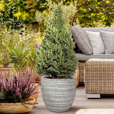 IDEALIST Lite Straw Plaited Style Egg Planter