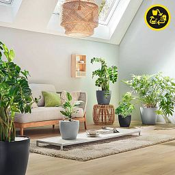 LECHUZA CLASSICO Color ECO Round PCR Plastic Self-watering Planter