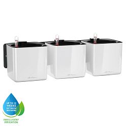 LECHUZA Green Wall Home Kit Glossy Indoor Self-watering Planter