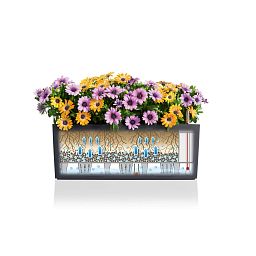 LECHUZA BALCONERA Cottage Trough Poly Resin Self-watering Planter Set