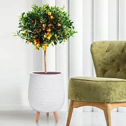 IDEALIST Lite Honeycomb Style Egg Planter on Legs, Round Pot Plant Stand Indoor