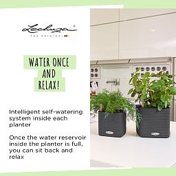 LECHUZA CUBE Color Square Poly Resin Indoor Self-watering Planter