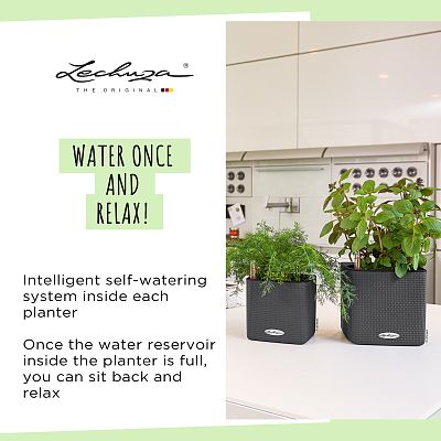LECHUZA CUBE Color Square Poly Resin Indoor Self-watering Planter