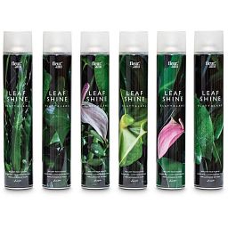 Fleur Ami Leafshine