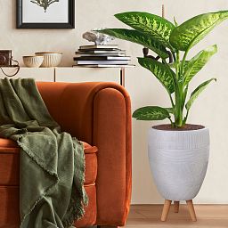 IDEALIST Lite Striped Egg Planter on Legs, Round Pot Plant Stand Indoor