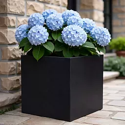 IDEALIST Lite Square Box Contemporary Light Concrete Planter