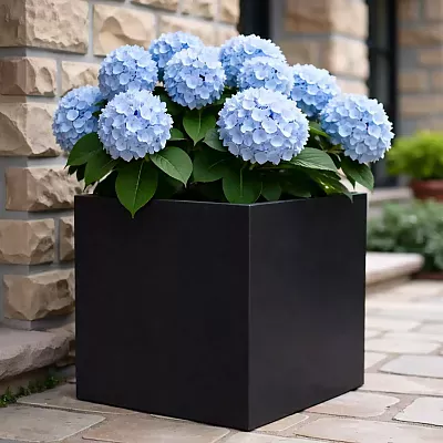 IDEALIST Lite Square Box Contemporary Light Concrete Planter