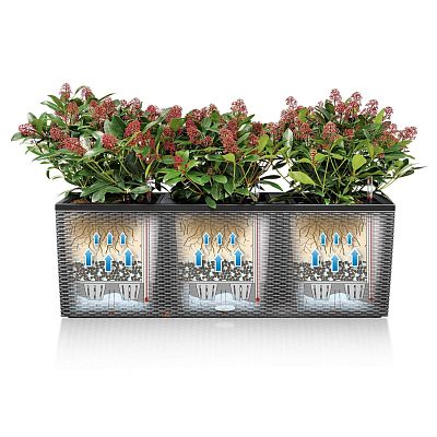 LECHUZA TRIO Cottage Trough Poly Resin Self-watering Planter