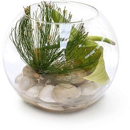 NATURAL ILLUSION Glass Vase