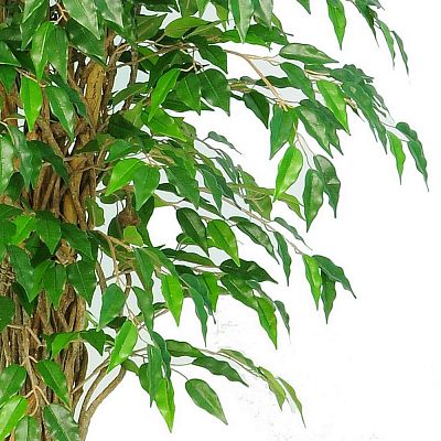 Ficus Liana Flame Retardant Artificial Tree Plant