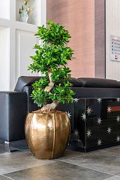 Ceramic Round Lined Glossy Planter Pot In/Out