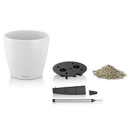 LECHUZA CLASSICO Color Round Poly Resin Self-watering Planter Set