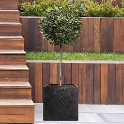 IDEALIST Lite Square Box Contemporary Marble Light Concrete Planter