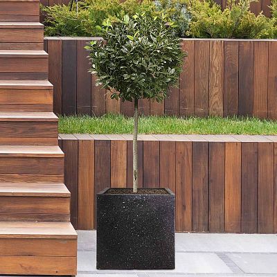 IDEALIST Lite Square Box Contemporary Marble Light Concrete Planter