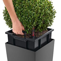 LECHUZA CUBICO Color Square Tall Poly Resin Self-watering Planter Set