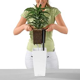 LECHUZA CUBI Square Poly Resin Indoor Self-watering Planter