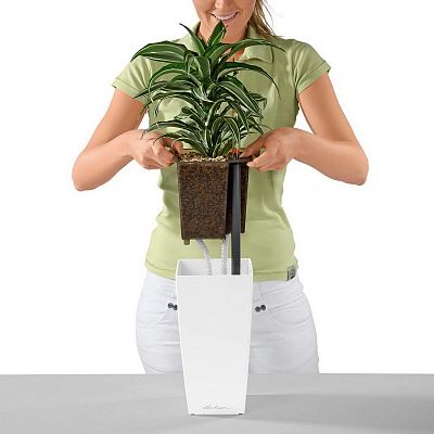LECHUZA CUBI Square Poly Resin Indoor Self-watering Planter