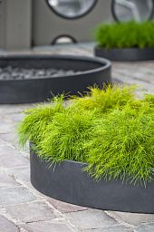 Fibrestone Max Low Round Planter by Idealist Premium