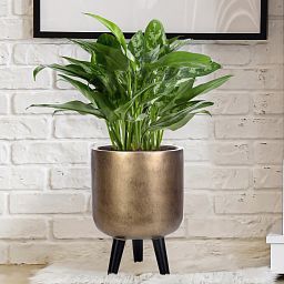 IDEALIST Lite Round Planter on Legs, Round Pot Plant Stand Indoor