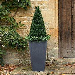 IDEALIST Lite Tall Tapered Contemporary Light Concrete Planter