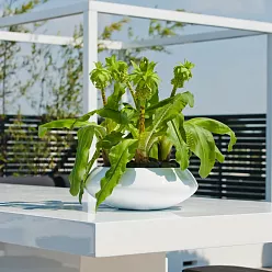 Fibrestone Tara Round Planter by Idealist Premium