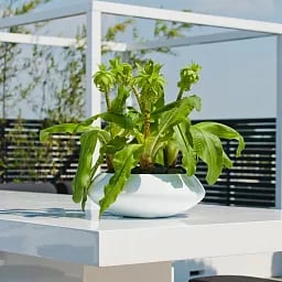 Fibrestone Tara Round Planter by Idealist Premium
