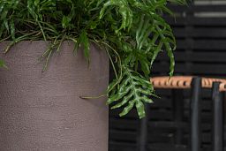 Fibrestone Dice Round Planter by Idealist Premium