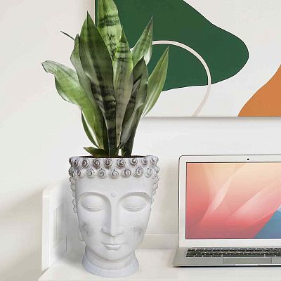 IDEALIST Lite Buddha Face Plant Pot Indoor