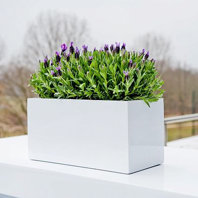 WINDOW BOX Fiberstone Planter by Idealist Premium Balcony Glossy WINDOW BOX Fiberstone Planter by Idealist Premium Balcony Glossy