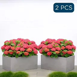 IDEALIST Lite Contemporary Light Concrete Trough Planter Set