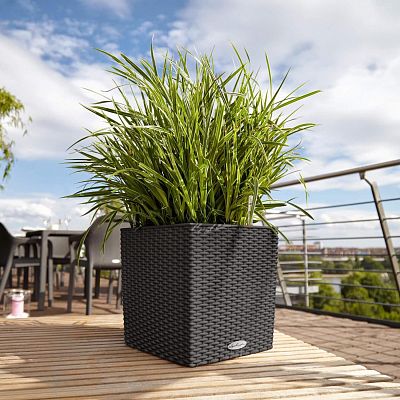 LECHUZA CUBE Cottage Square Poly Resin Self-watering Planter