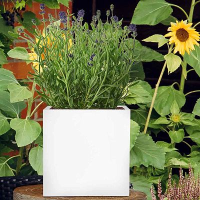IDEALIST Lite Square Box Contemporary Light Concrete Planter
