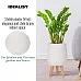IDEALIST Lite Honeycomb Style Egg Planter on Legs, Round Pot Plant Stand Indoor