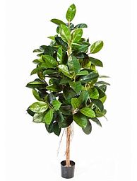Ficus Elastica Artificial Tree Plant