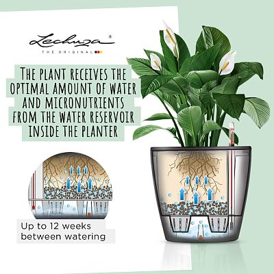 LECHUZA CLASSICO LS Round Poly Resin Self-watering Planter