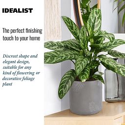 IDEALIST Lite Leaf Embossed Table Indoor Cylinder Round Plant Pot