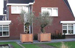 Hardwood Valencia Square Wood Outdoor Planter