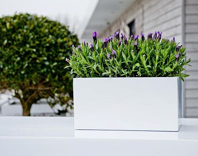 WINDOW BOX Fiberstone Planter by Idealist Premium Balcony Glossy WINDOW BOX Fiberstone Planter by Idealist Premium Balcony Glossy