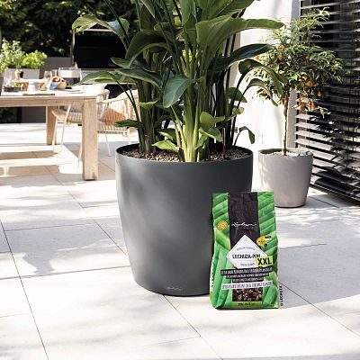 LECHUZA PON Peat-Free Houseplant Potting Mix for Indoor Plants Potting Compost for Plants Indoors