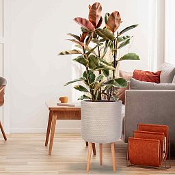 IDEALIST Lite Plaited Style Cylinder Planter on Legs, Round Pot Plant Stand Indoor